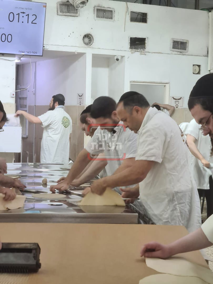 זופניק בכיכר | כל התמונות, הנייעס והחשיפות של השבוע