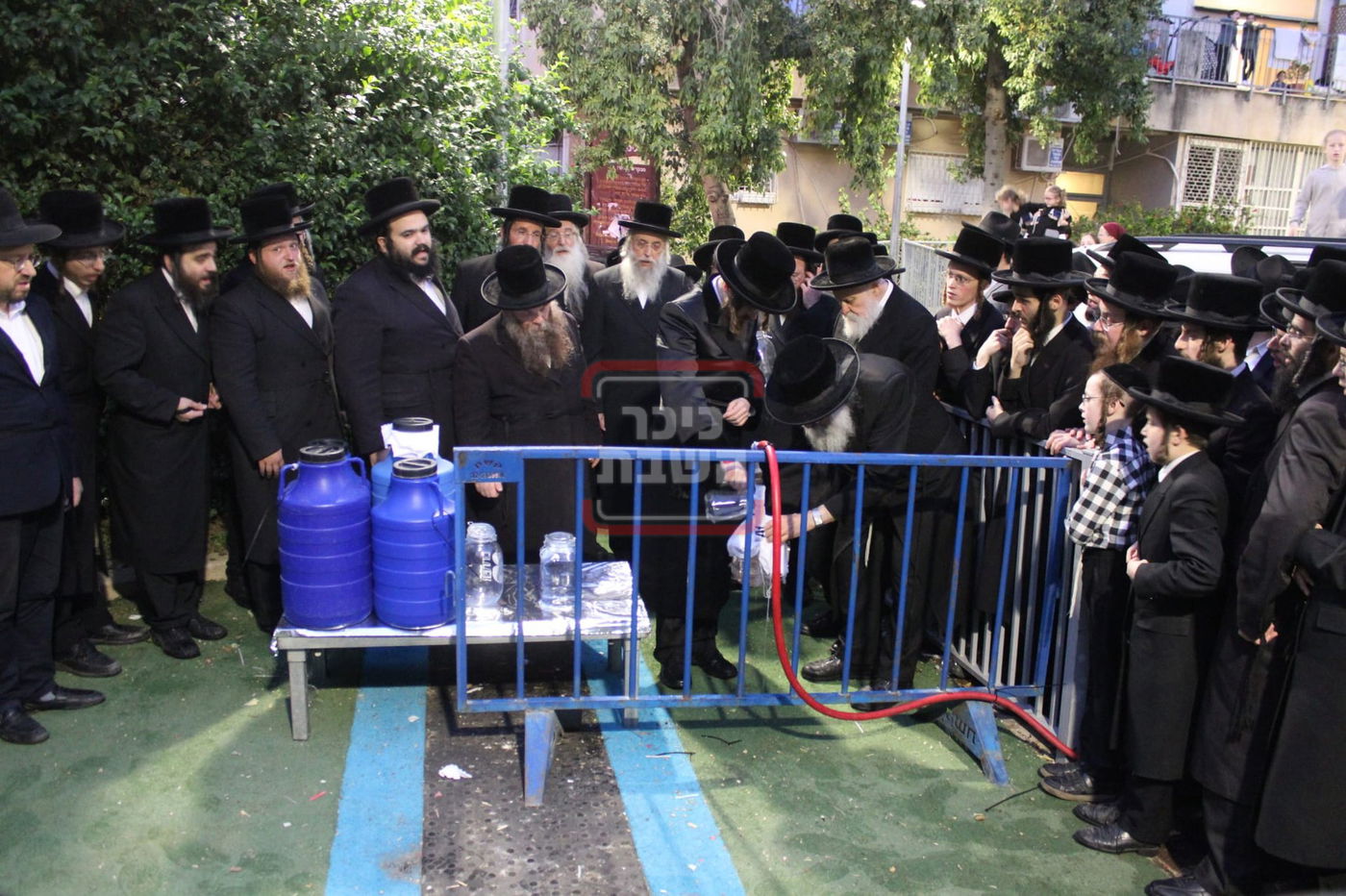 האדמו"ר מסאדיגורה בשאיבת מים שלנו 