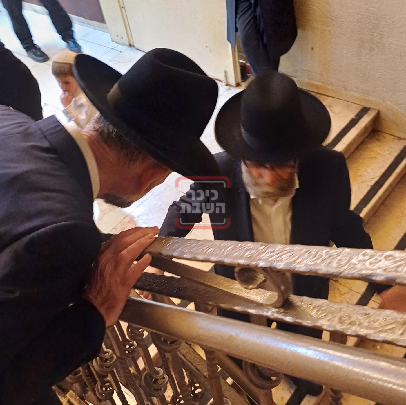 זופניק בכיכר | כל התמונות, הנייעס והחשיפות של השבוע