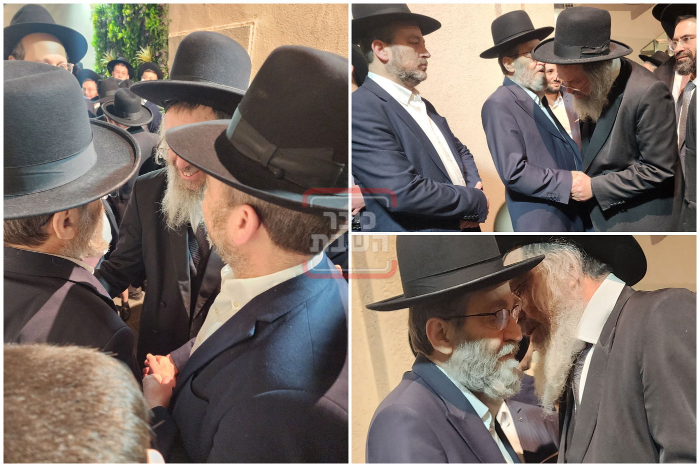 זופניק בכיכר | כל התמונות, הנייעס והחשיפות של השבוע