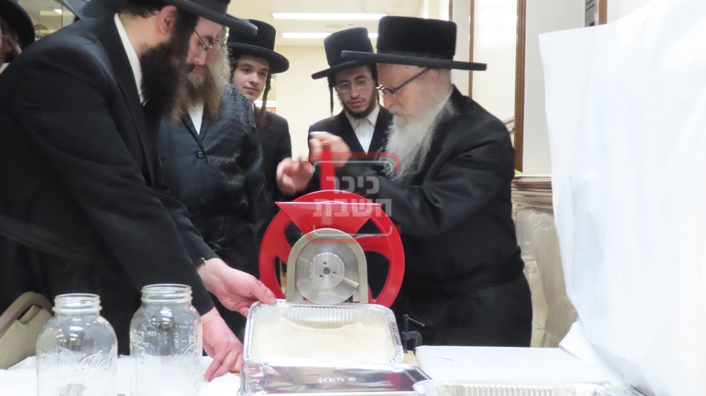 האדמו"ר מסערדאהעלי בטחינת חיטים