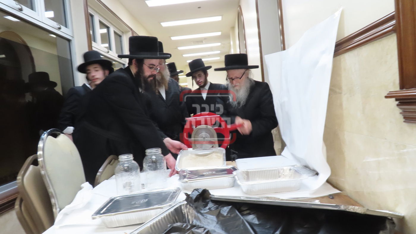 האדמו"ר מסערדאהעלי בטחינת חיטים