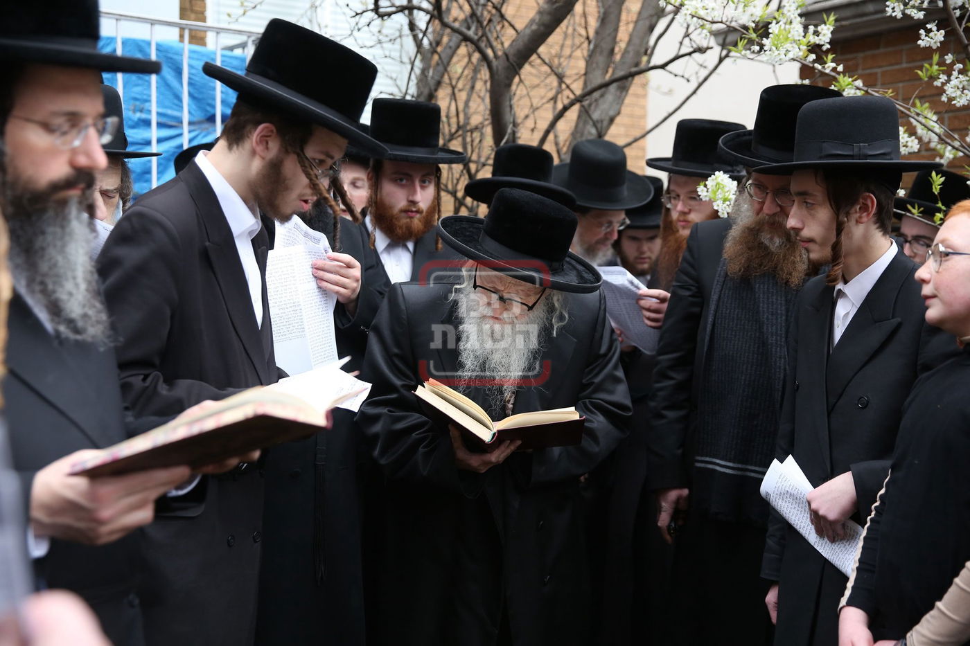 האדמו"ר מסערדאהעלי בברכת אילנות