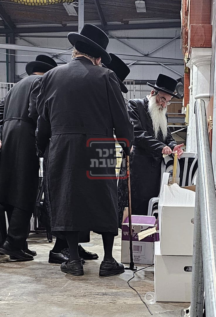 זופניק בכיכר | כל התמונות, הנייעס והחשיפות של השבוע