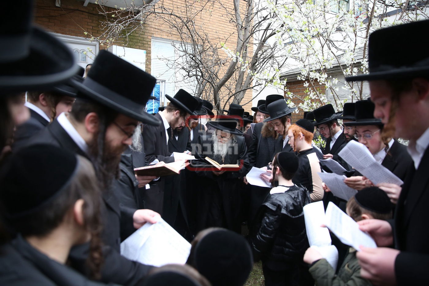 האדמו"ר מסערדאהעלי בברכת אילנות