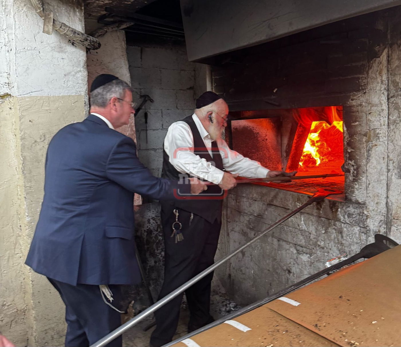 זופניק בכיכר | כל התמונות, הנייעס והחשיפות של השבוע