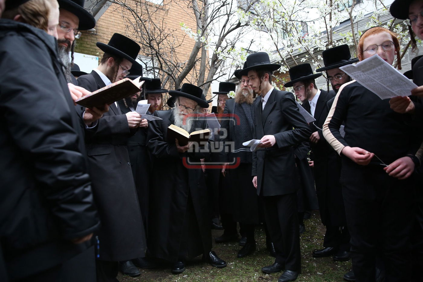 האדמו"ר מסערדאהעלי בברכת אילנות