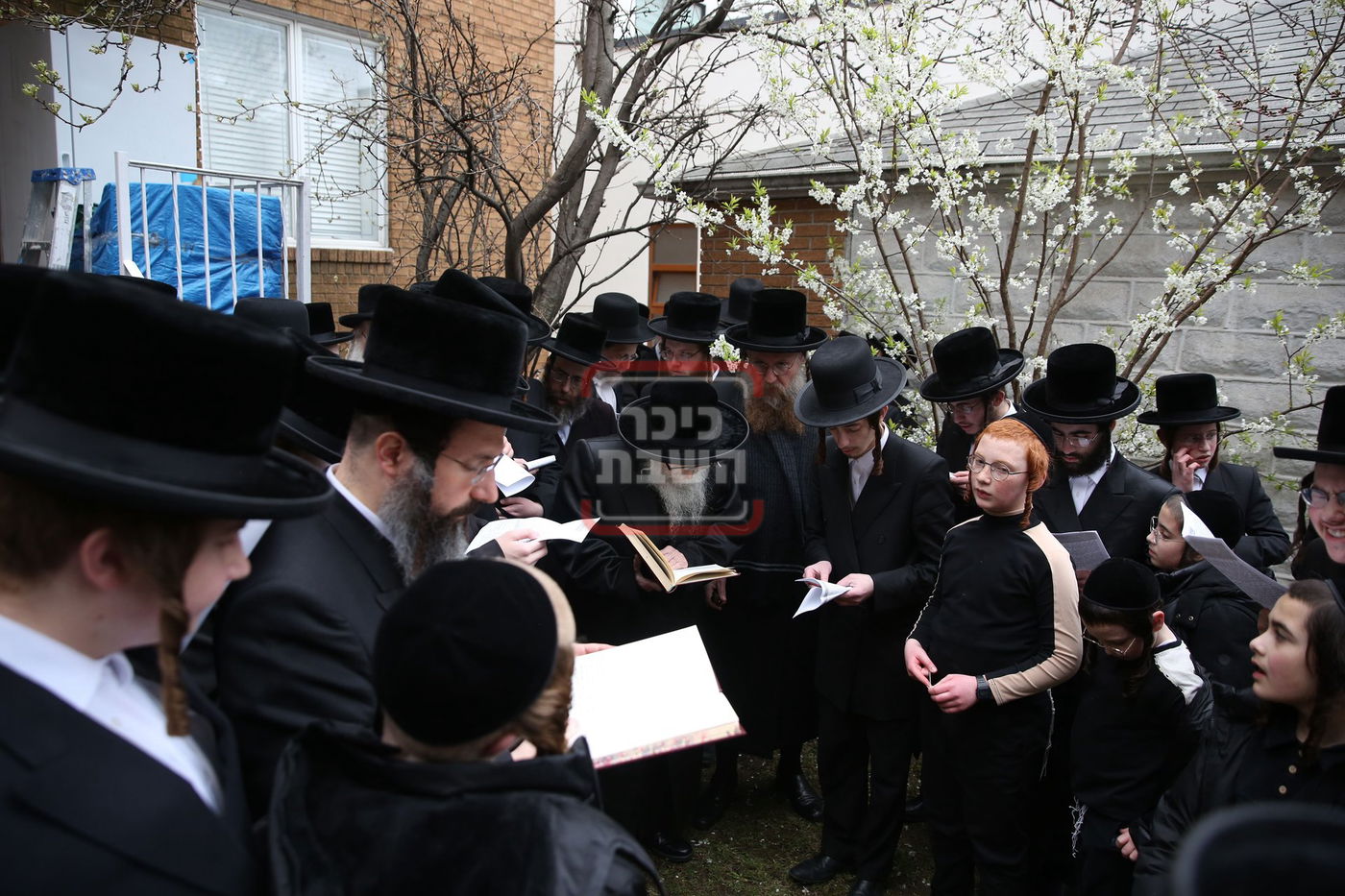 האדמו"ר מסערדאהעלי בברכת אילנות