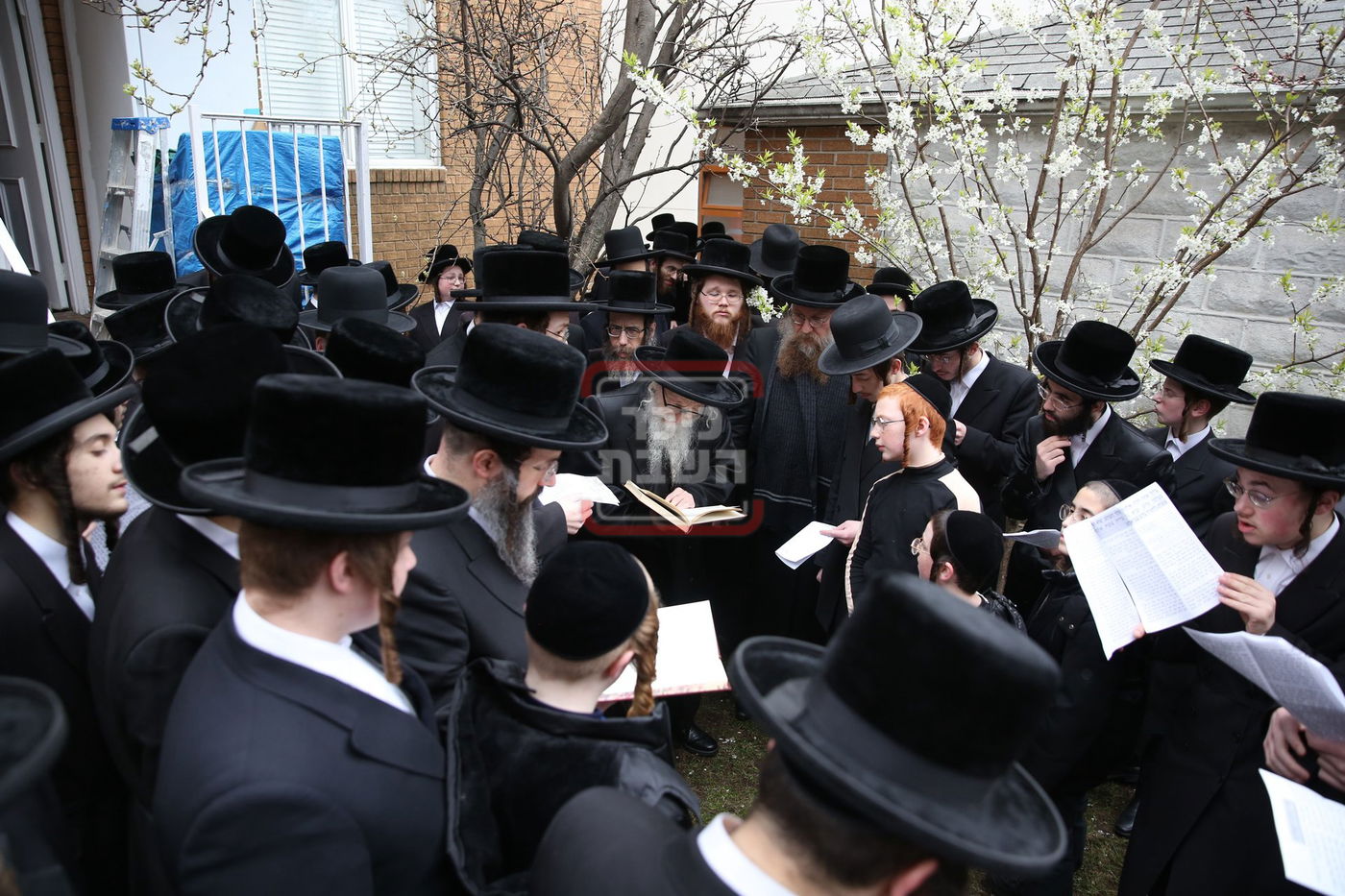 האדמו"ר מסערדאהעלי בברכת אילנות