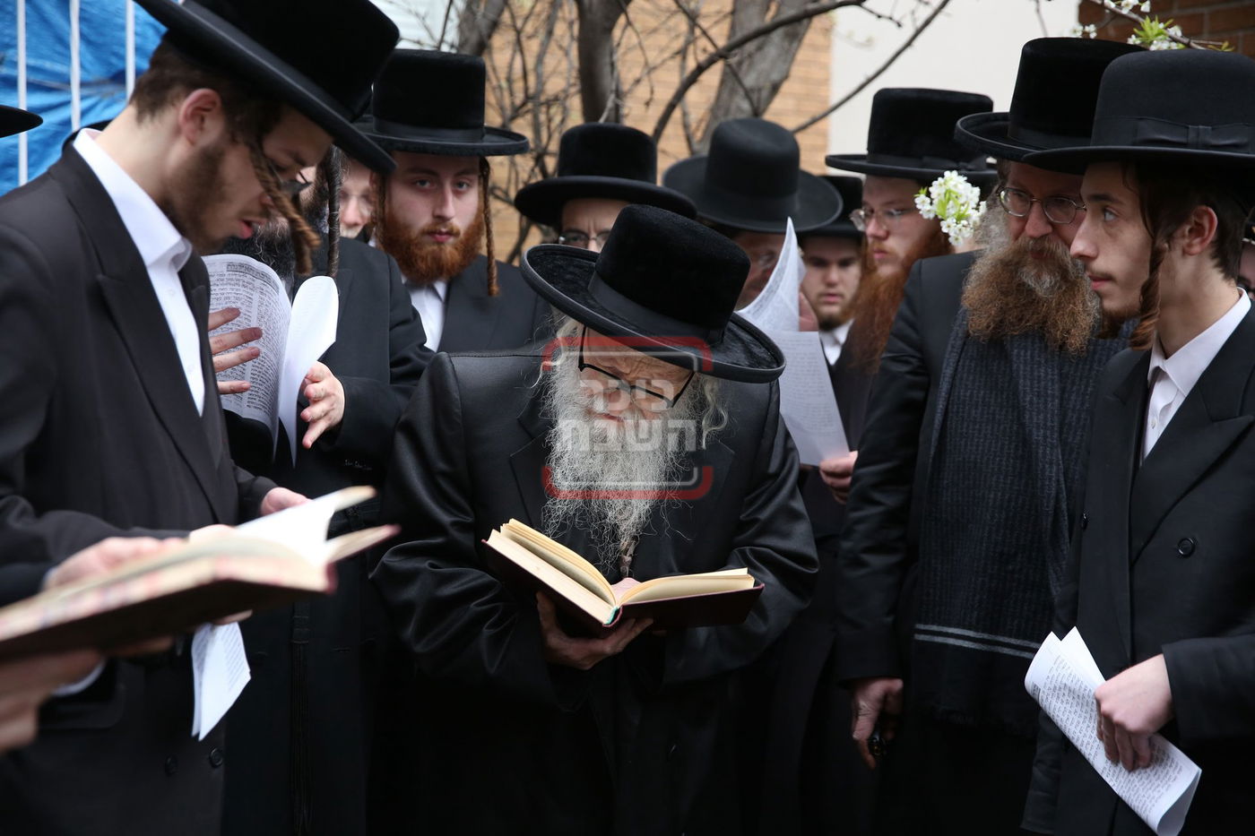 האדמו"ר מסערדאהעלי בברכת אילנות