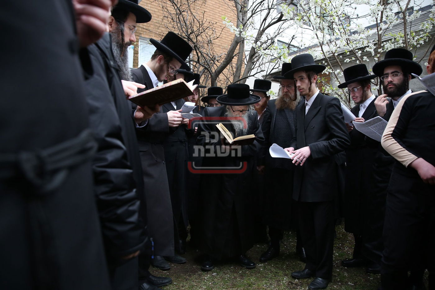 האדמו"ר מסערדאהעלי בברכת אילנות