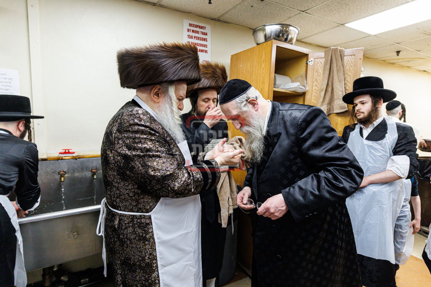 חג הפסח בחצה"ק באבוב