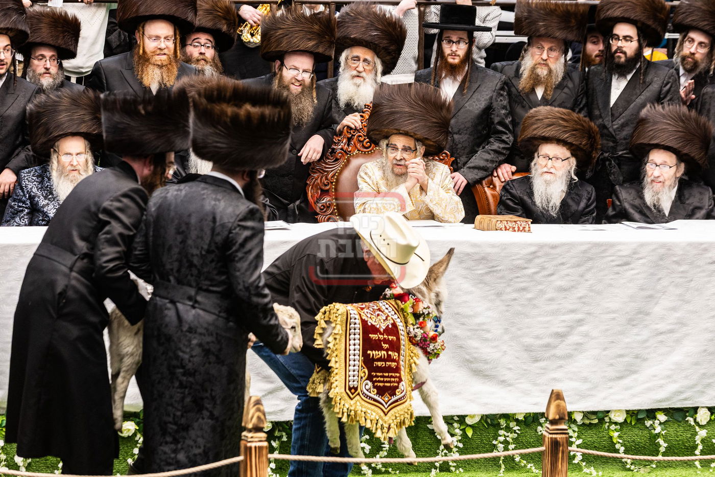 מעמד פדיון פטר חמור בסאטמר בהשתתפות האדמו"ר מסערדאהעלי