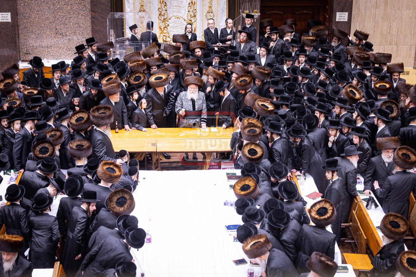 חג הפסח בחצה"ק באבוב