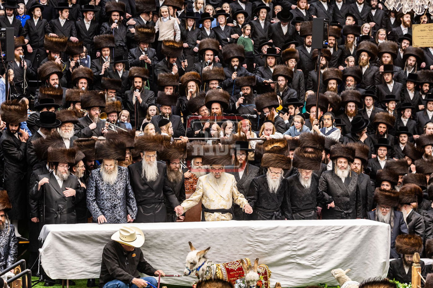 מעמד פדיון פטר חמור בסאטמר בהשתתפות האדמו"ר מסערדאהעלי