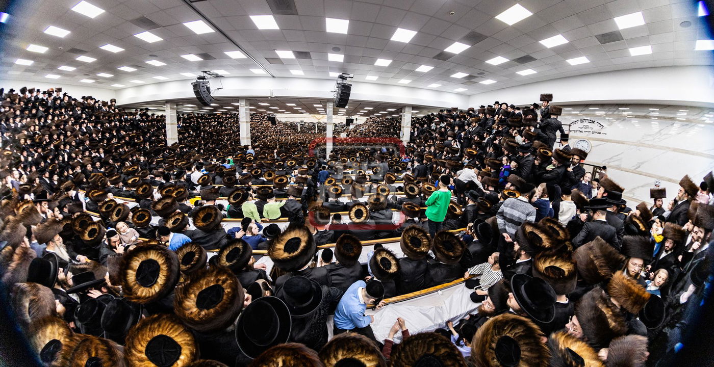 מעמד פדיון פטר חמור בסאטמר בהשתתפות האדמו"ר מסערדאהעלי