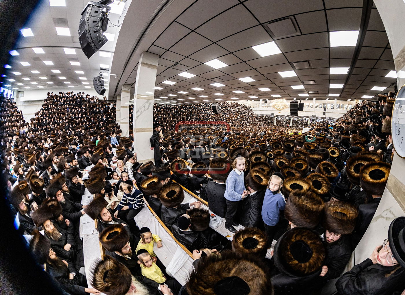 מעמד פדיון פטר חמור בסאטמר בהשתתפות האדמו"ר מסערדאהעלי