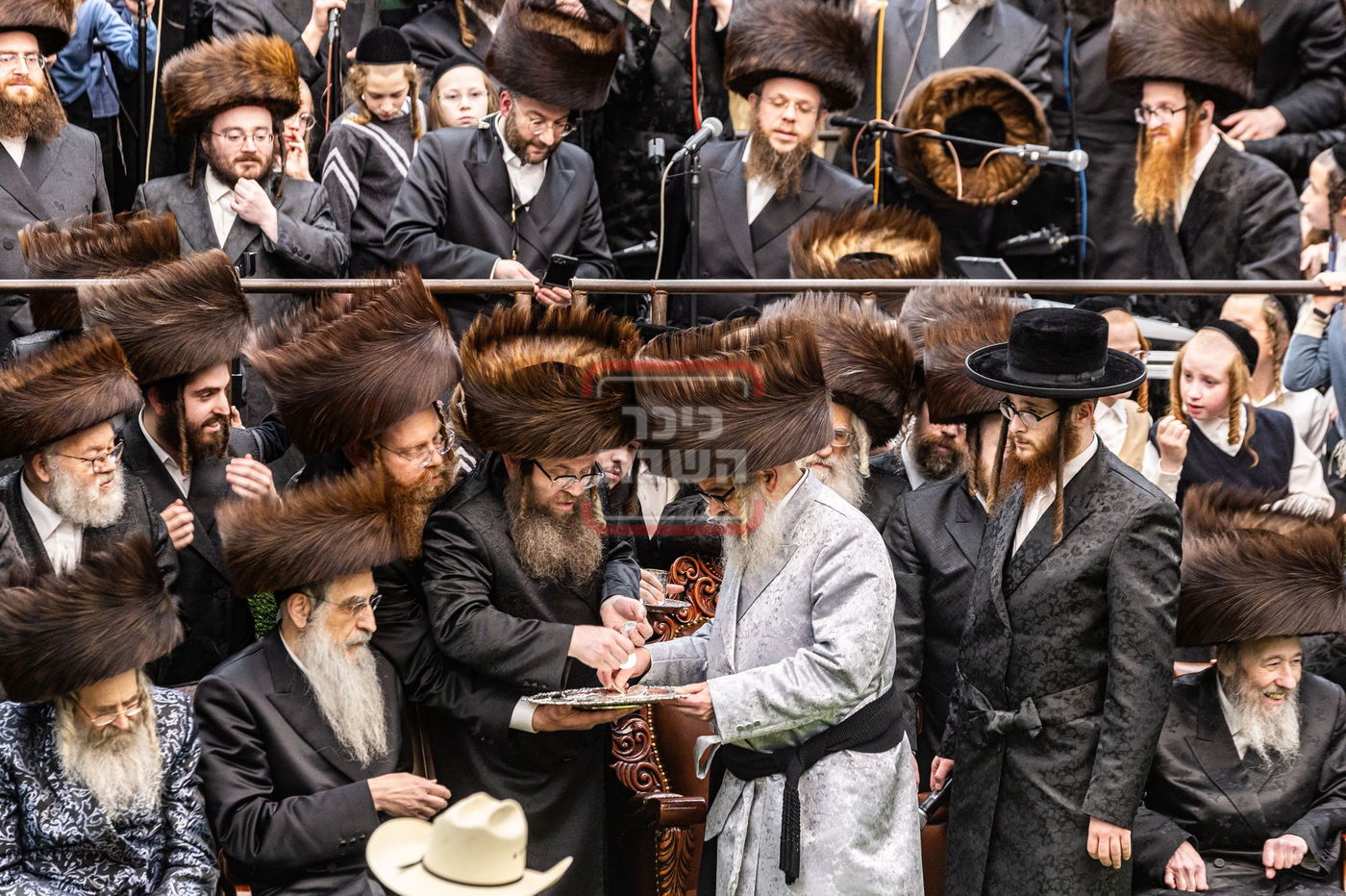 מעמד פדיון פטר חמור בסאטמר בהשתתפות האדמו"ר מסערדאהעלי