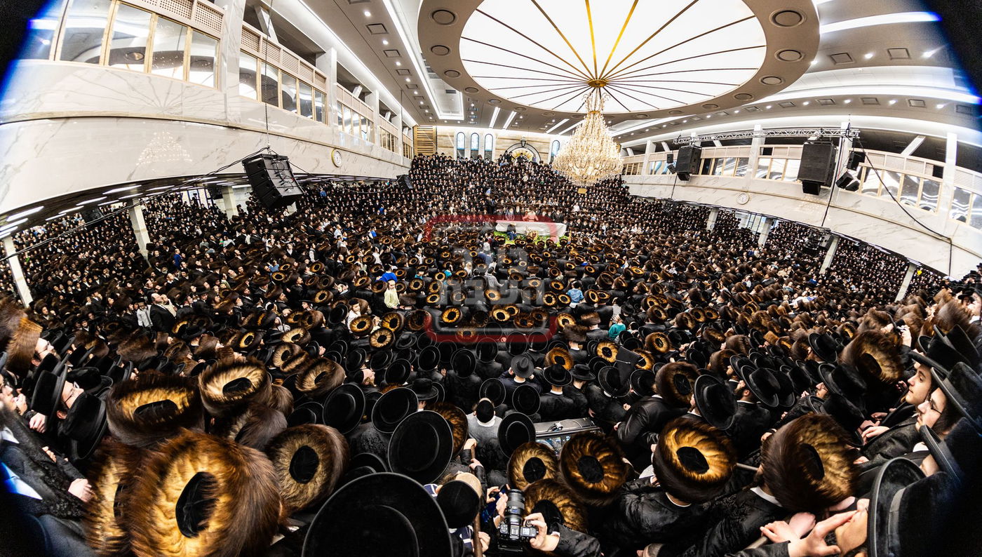 מעמד פדיון פטר חמור בסאטמר בהשתתפות האדמו"ר מסערדאהעלי