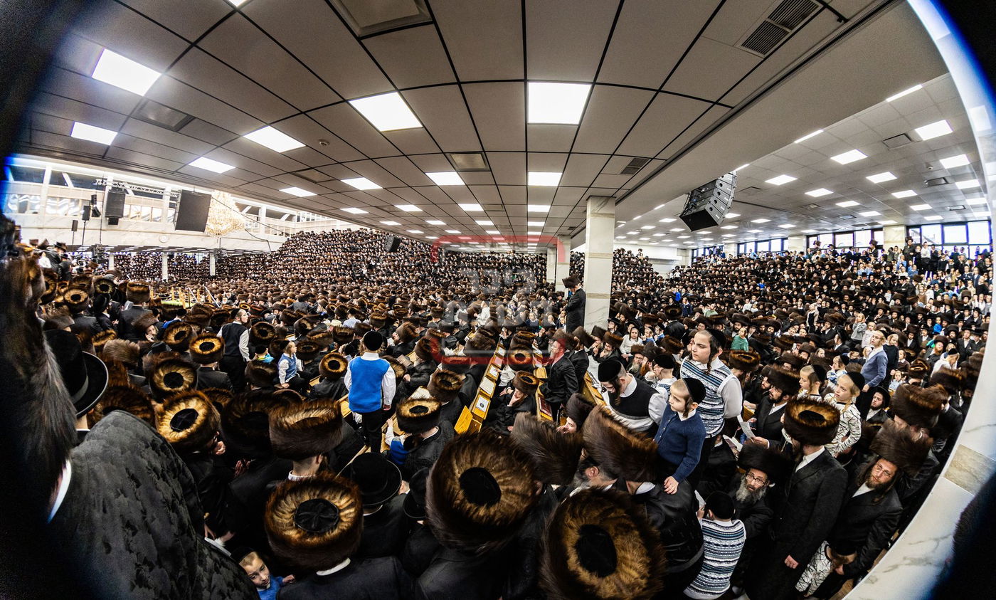 מעמד פדיון פטר חמור בסאטמר בהשתתפות האדמו"ר מסערדאהעלי