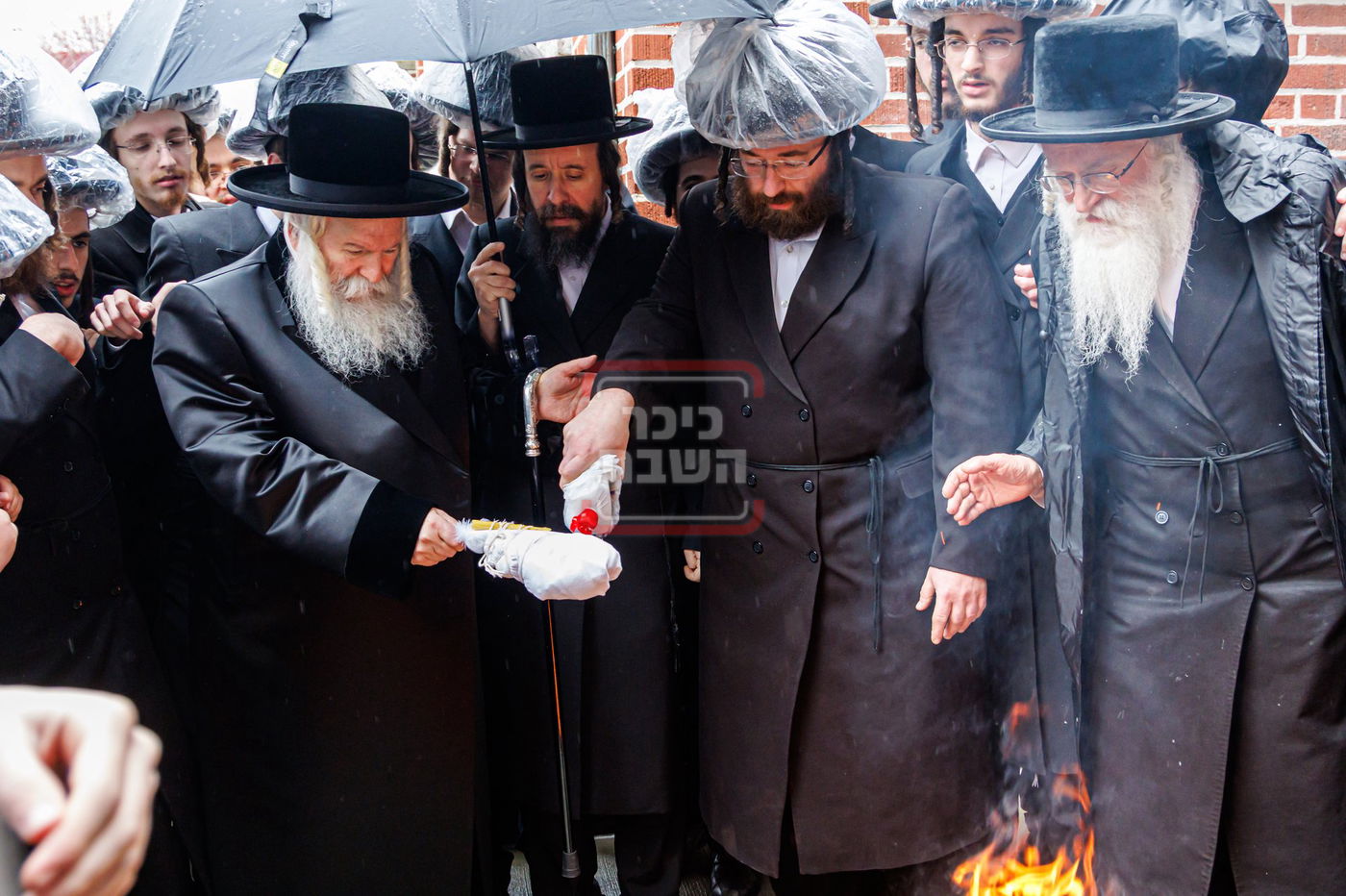 חג הפסח בחצה"ק באבוב