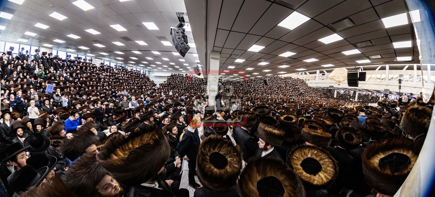 מעמד פדיון פטר חמור בסאטמר בהשתתפות האדמו"ר מסערדאהעלי