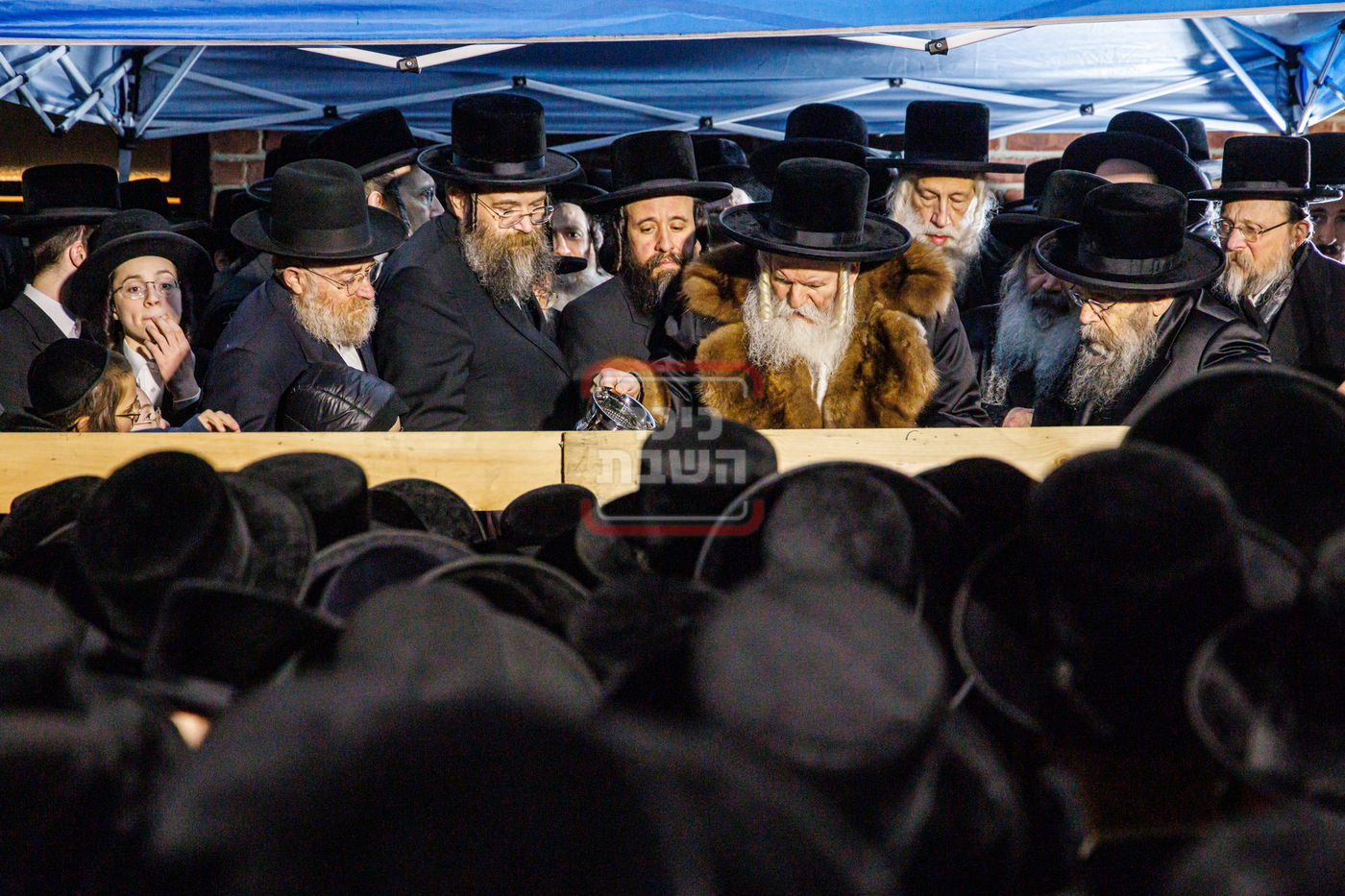 חג הפסח בחצה"ק באבוב