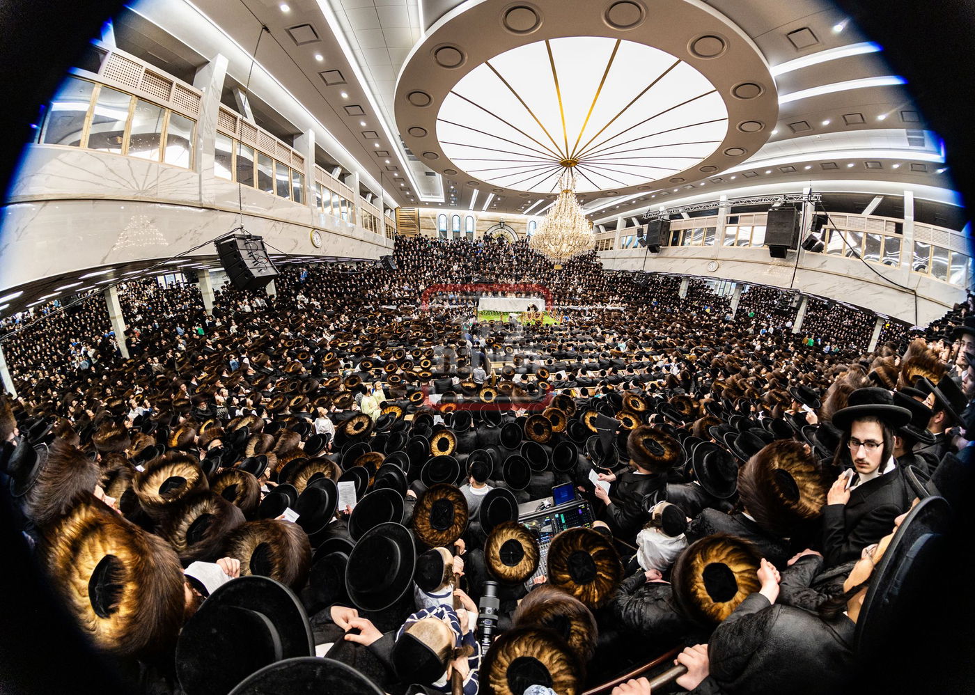 מעמד פדיון פטר חמור בסאטמר בהשתתפות האדמו"ר מסערדאהעלי