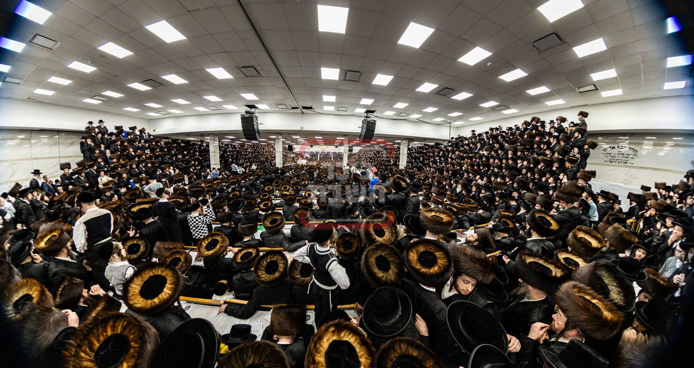 מעמד פדיון פטר חמור בסאטמר בהשתתפות האדמו"ר מסערדאהעלי