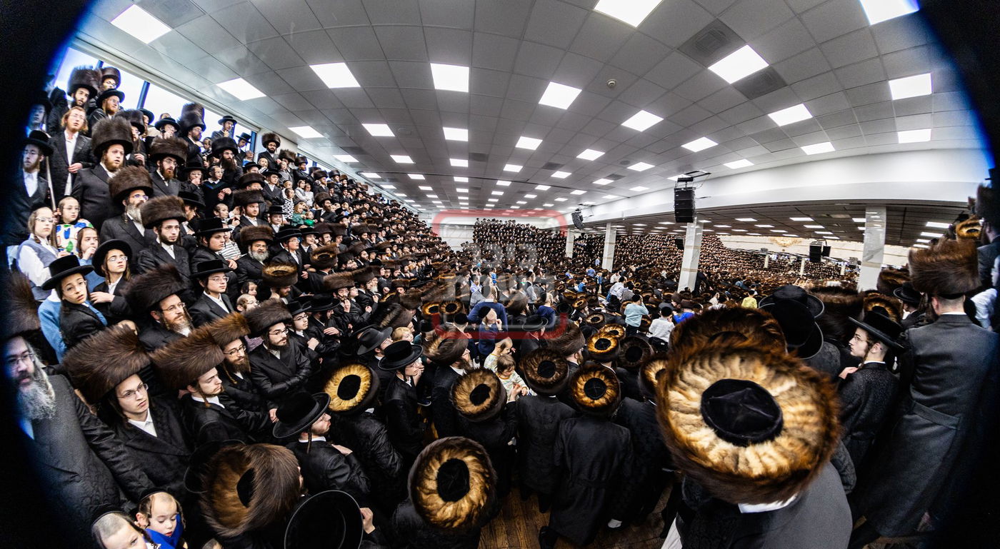 מעמד פדיון פטר חמור בסאטמר בהשתתפות האדמו"ר מסערדאהעלי