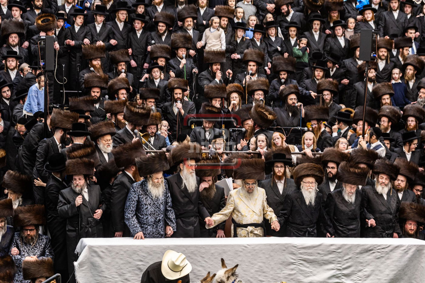 מעמד פדיון פטר חמור בסאטמר בהשתתפות האדמו"ר מסערדאהעלי