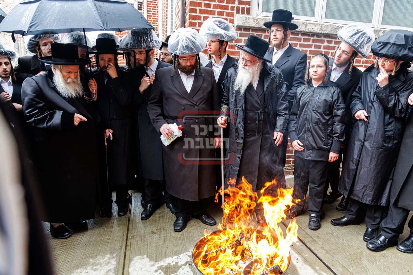 חג הפסח בחצה"ק באבוב