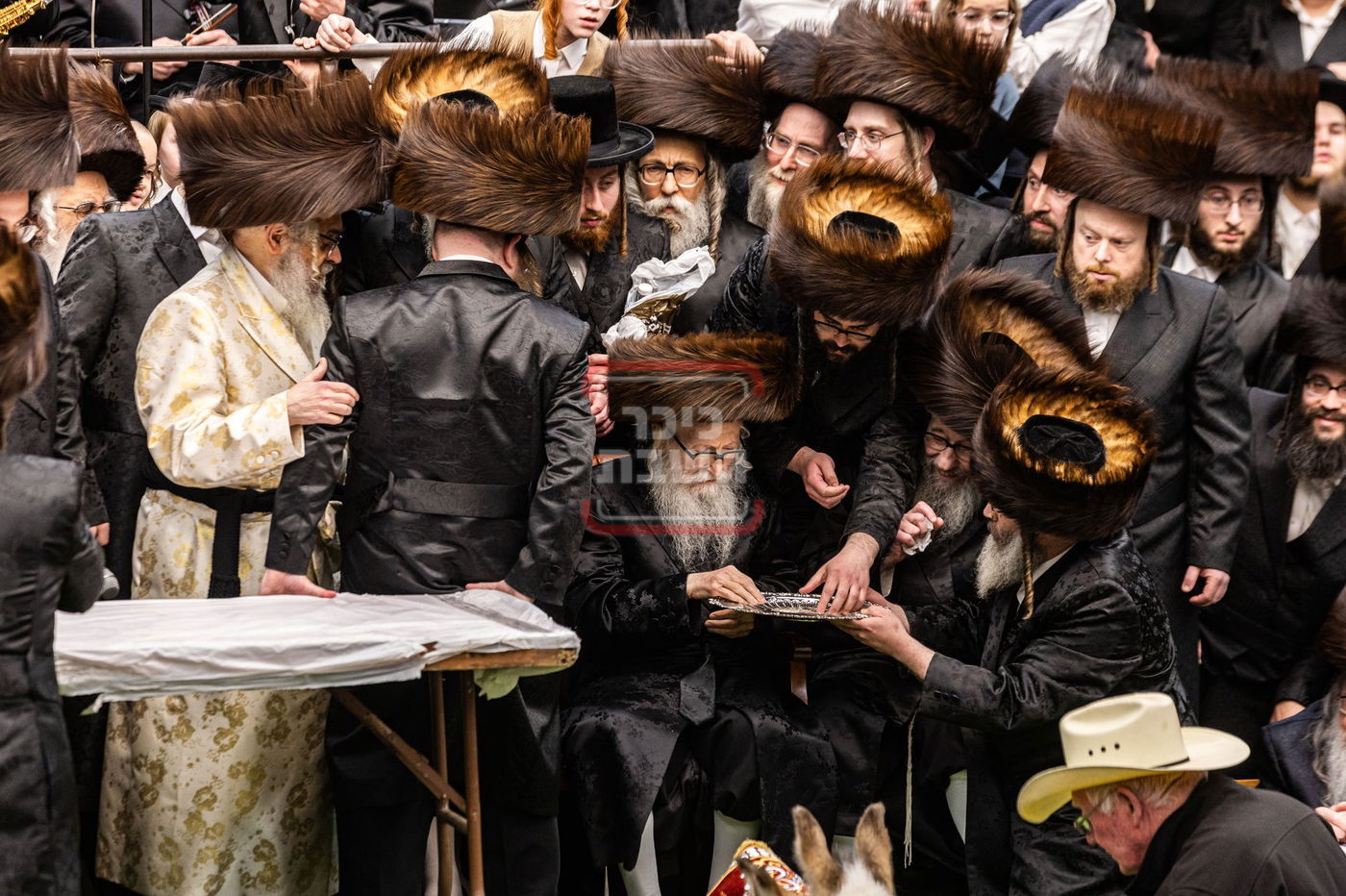 מעמד פדיון פטר חמור בסאטמר בהשתתפות האדמו"ר מסערדאהעלי