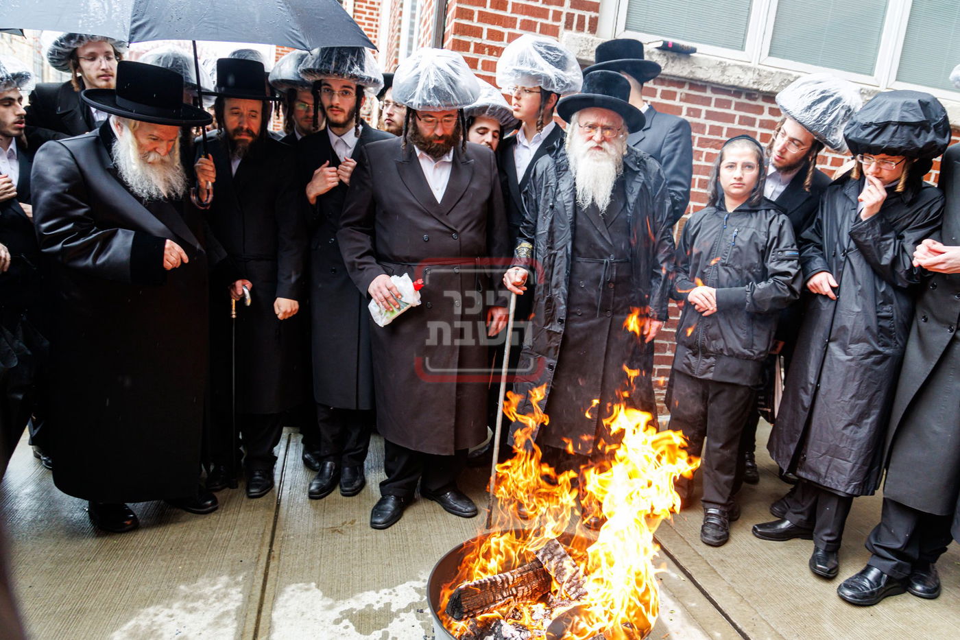 חג הפסח בחצה"ק באבוב
