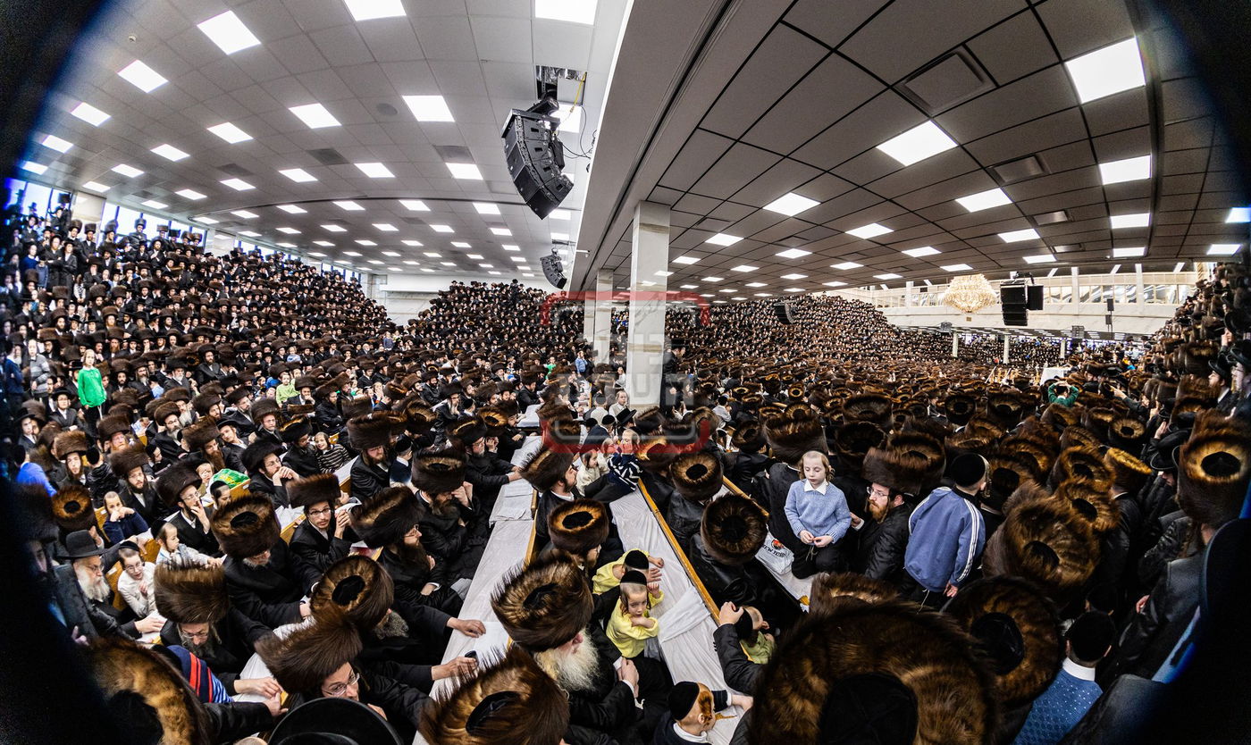 מעמד פדיון פטר חמור בסאטמר בהשתתפות האדמו"ר מסערדאהעלי
