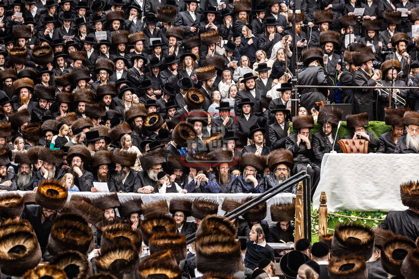 מעמד פדיון פטר חמור בסאטמר בהשתתפות האדמו"ר מסערדאהעלי