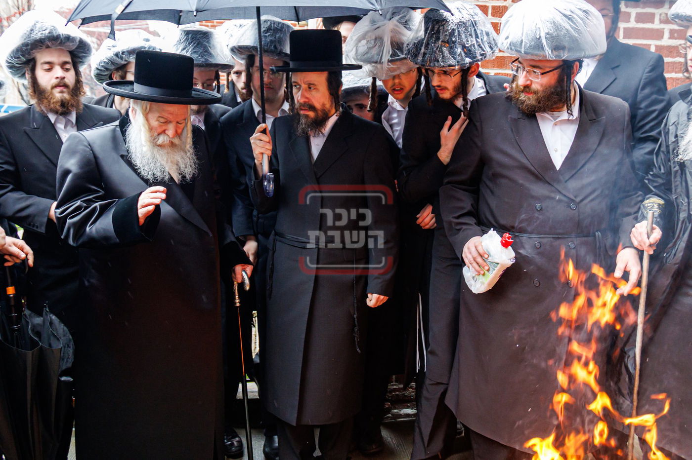 חג הפסח בחצה"ק באבוב