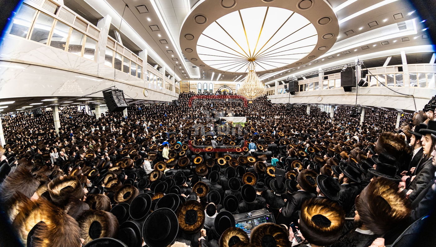 מעמד פדיון פטר חמור בסאטמר בהשתתפות האדמו"ר מסערדאהעלי