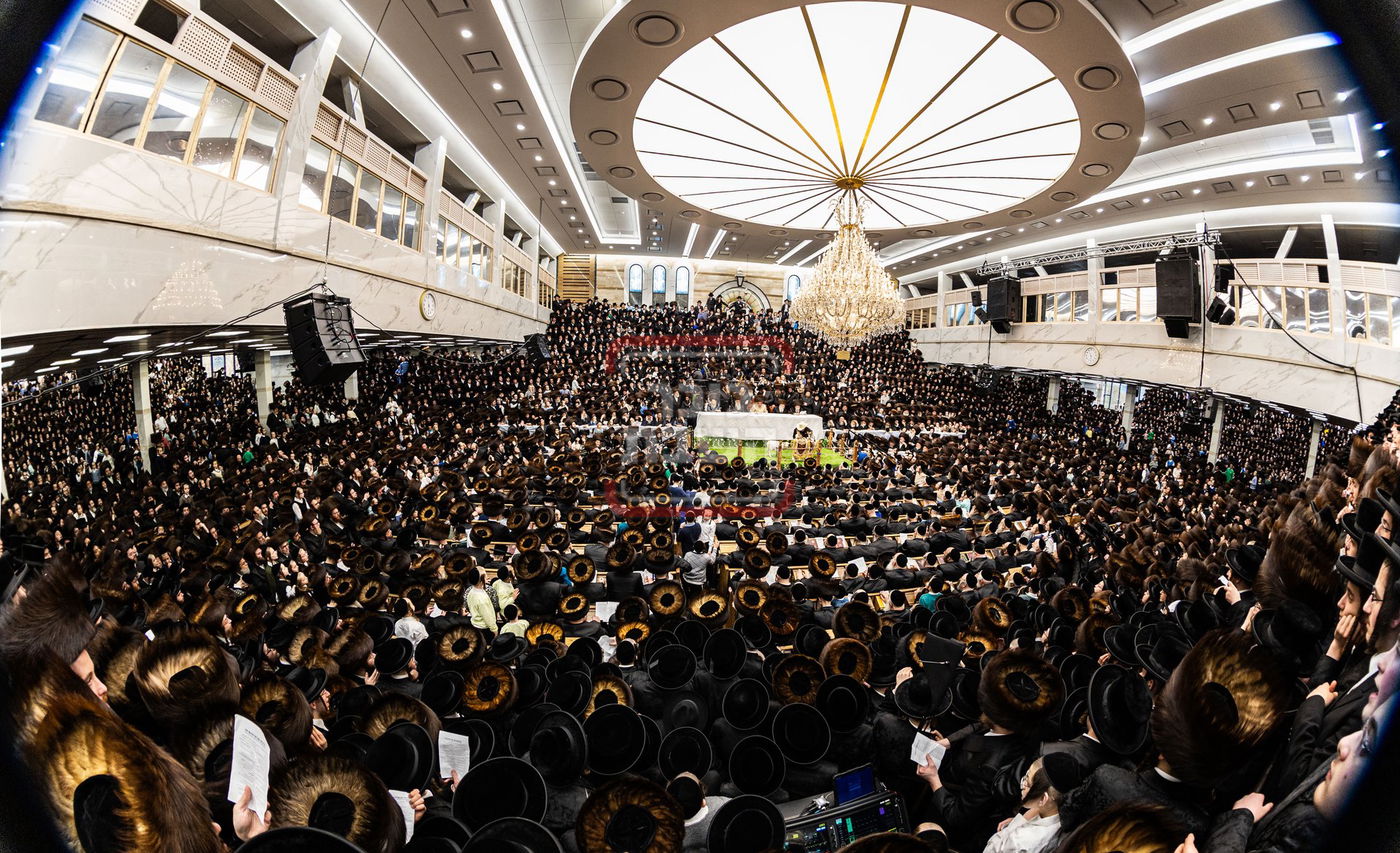 מעמד פדיון פטר חמור בסאטמר בהשתתפות האדמו"ר מסערדאהעלי