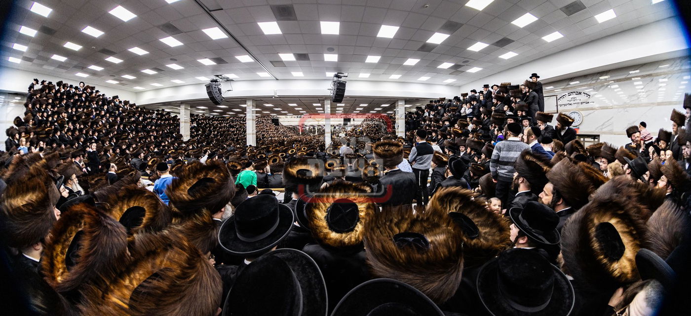 מעמד פדיון פטר חמור בסאטמר בהשתתפות האדמו"ר מסערדאהעלי