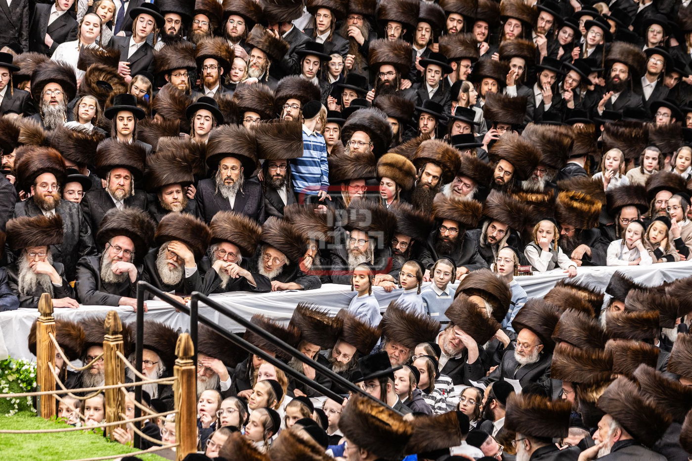 מעמד פדיון פטר חמור בסאטמר בהשתתפות האדמו"ר מסערדאהעלי