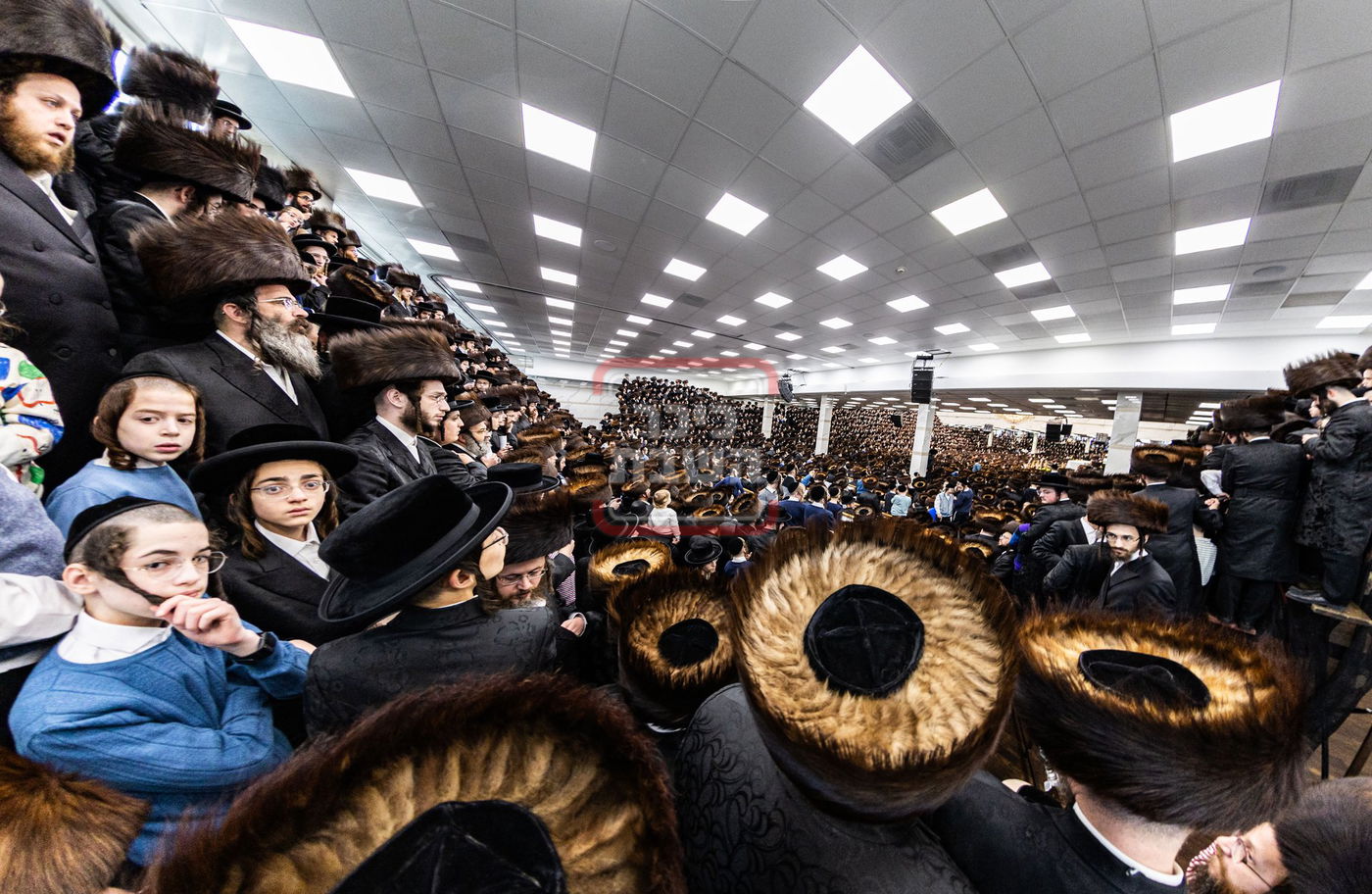 מעמד פדיון פטר חמור בסאטמר בהשתתפות האדמו"ר מסערדאהעלי