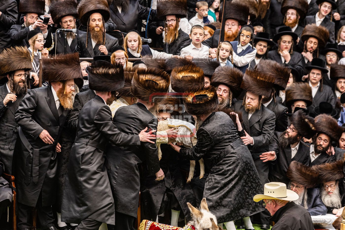 מעמד פדיון פטר חמור בסאטמר בהשתתפות האדמו"ר מסערדאהעלי