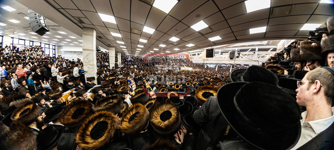 מעמד פדיון פטר חמור בסאטמר בהשתתפות האדמו"ר מסערדאהעלי