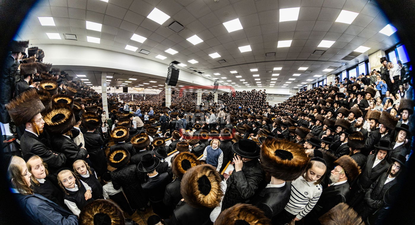 מעמד פדיון פטר חמור בסאטמר בהשתתפות האדמו"ר מסערדאהעלי