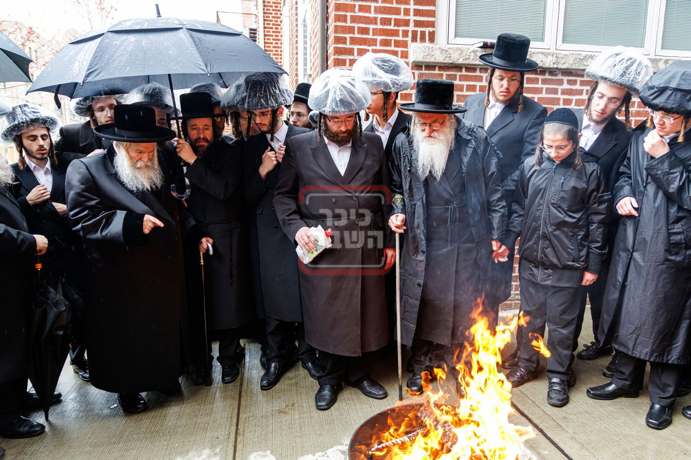 חג הפסח בחצה"ק באבוב