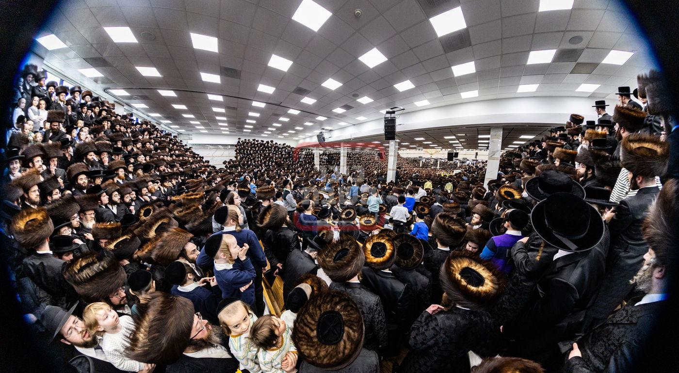 מעמד פדיון פטר חמור בסאטמר בהשתתפות האדמו"ר מסערדאהעלי