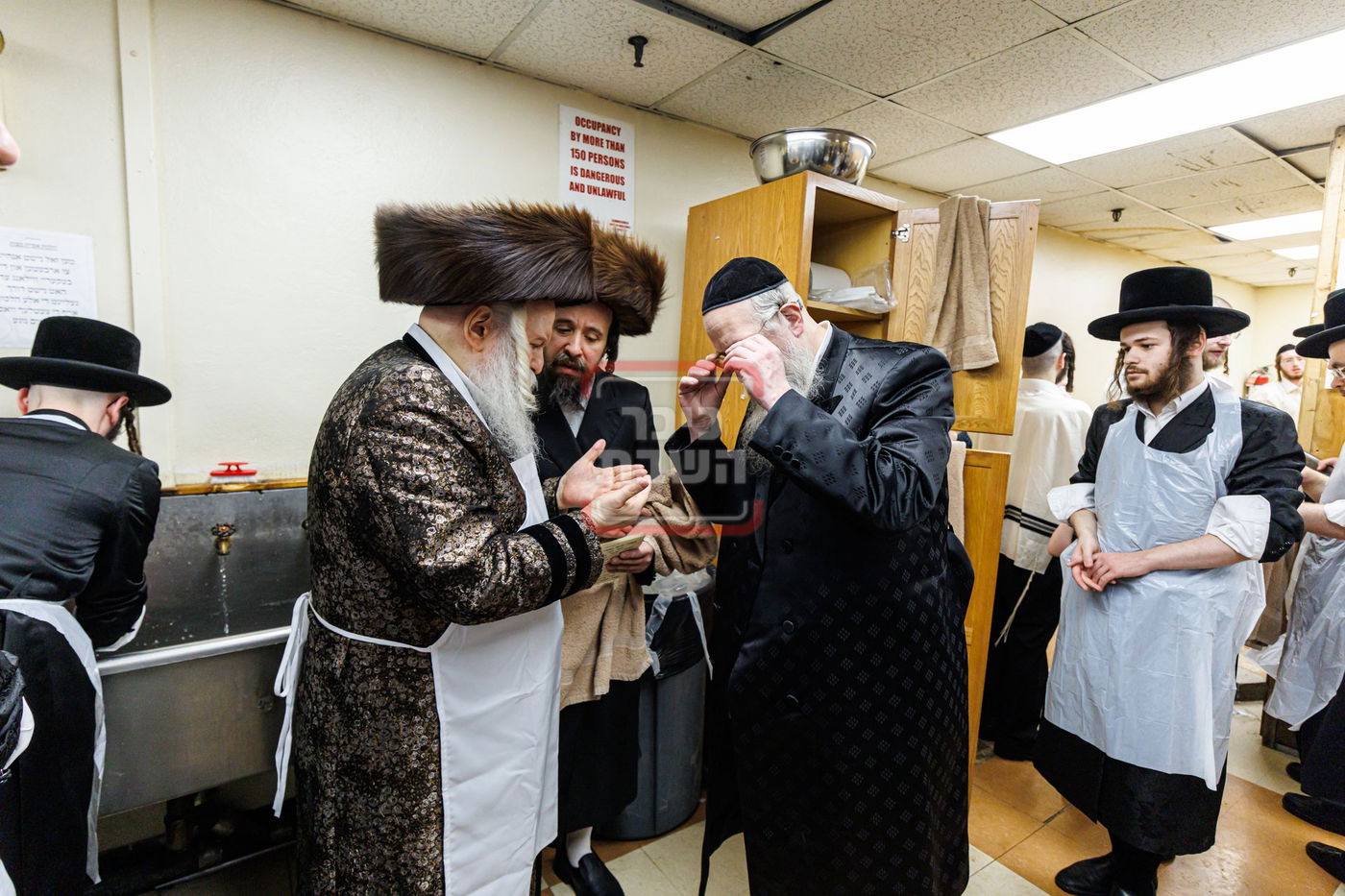 חג הפסח בחצה"ק באבוב