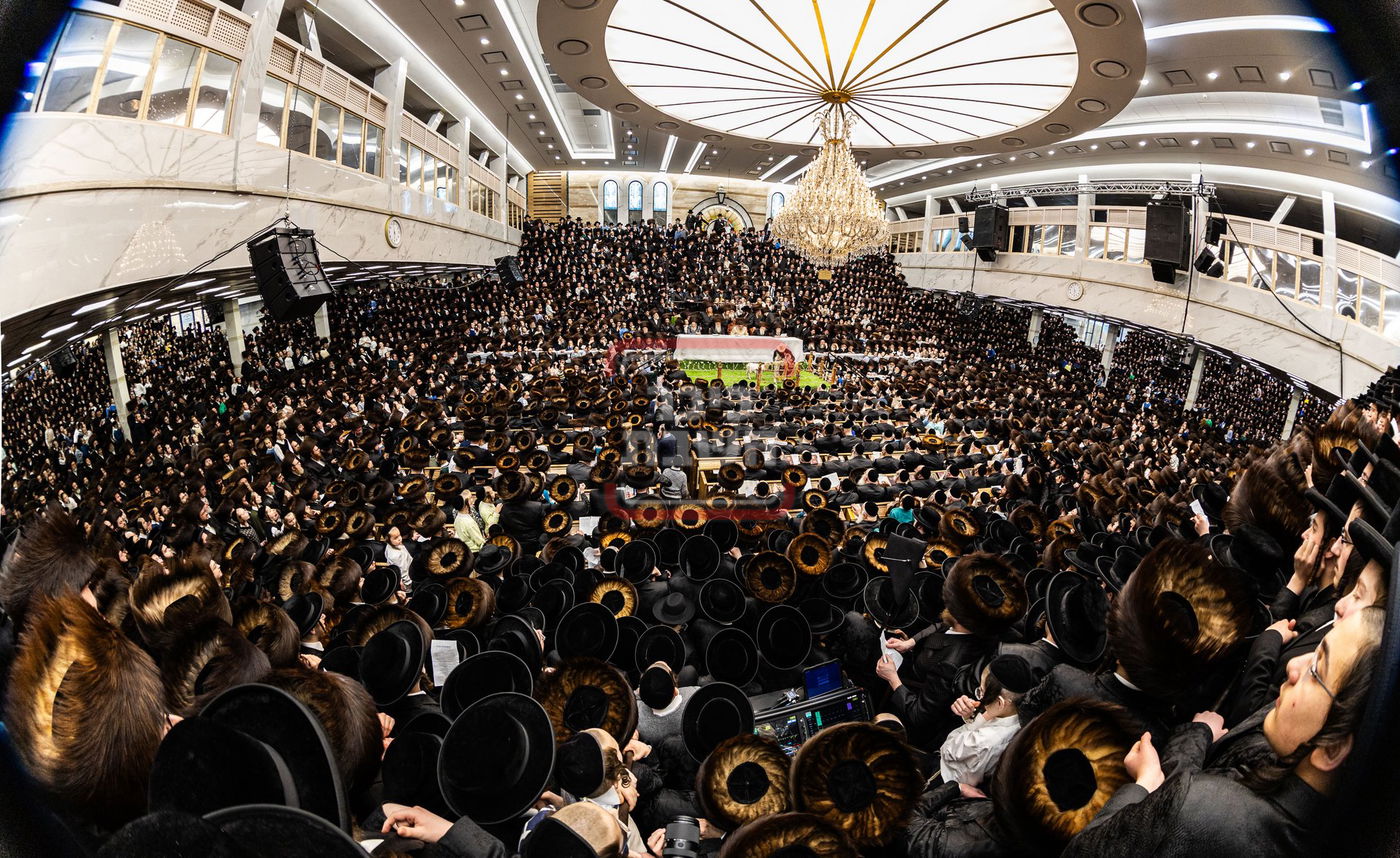 מעמד פדיון פטר חמור בסאטמר בהשתתפות האדמו"ר מסערדאהעלי