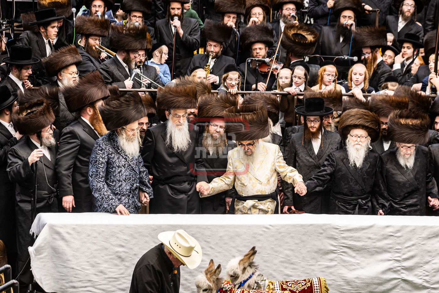 מעמד פדיון פטר חמור בסאטמר בהשתתפות האדמו"ר מסערדאהעלי